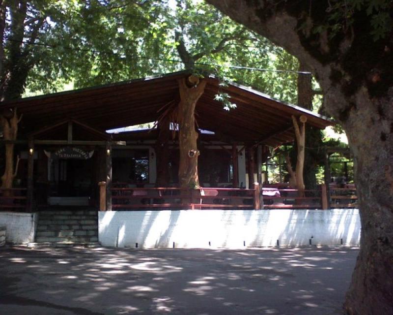 Τα Πλατάνια | Παραδοσιακή Ταβέρνα Κοτρώνι Τρίκαλα